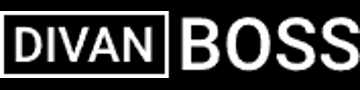 Divan Boss Logo