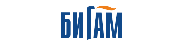 Bigam Logo