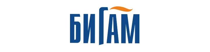Bigam Logo