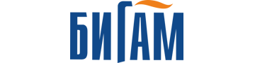 Bigam Logo