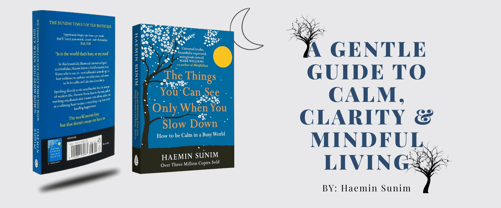 Amazon Singapore - The Things You Can See Only When You Slow Down: A Gentle Guide to Calm, Clarity & Mindful Living by Haemin Sunim